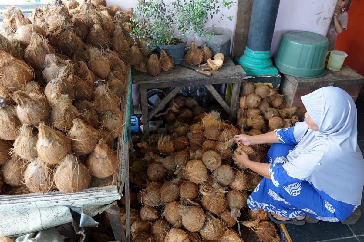 Peluang Usaha Parutan Kelapa yang Menjanjikan